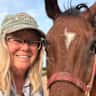 House sit pet parent - Country respite close to town - quiet, sunsets, happy animals