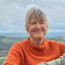 House sit pet parent - Beautiful English/Welsh border stay with friendly whippets.