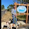 House sit pet parent - Flagstaff home at the base of Elden Mountain.  Easy access to the Coconino NF
