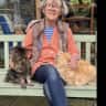 House sit pet parent - Charming Dorset cottage with a pair of adorable cats