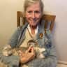 House sit pet parent - BEFRIEND 2 CATS