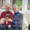 House sit pet parent - A miniature dachshund wanting love & cuddles in comfortable spacious Devon home