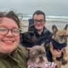 House sit pet parent - Two frenchies in Gloucestershire