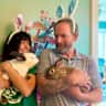 House sit pet parent - Sweet stay with house rabbits in a lovely wooded home in beautiful Black Mtn, NC