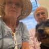 House sit pet parent - Dog/house sitting for Maxi, mini-wire haired Dachshund in peaceful Devon Village
