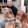 House sit pet parent - close to Myrtle Beach and golf courses. Goldens that love almost everyone.