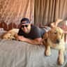 House sit pet parent - Beautiful South Lake Tahoe home located steps away from Lake Tahoe.