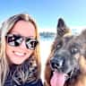 House sit pet parent - Fun and friendly German Shepherd on Tapps Island