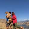 House sit pet parent - Beachside Stay with Sweet Golden Retriever Mix in Carlsbad