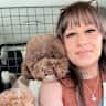 House sit pet parent - Silicon Valley living among the redwoods with the sweetest little poodles.