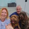 House sit pet parent - 2 lovable labradoodles close to Gold Coast beaches, HOTA & Isle of Capri