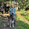 House sit pet parent - Two gentle Irish Wolfhounds