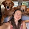 House sit pet parent - Christmas on the Island with 2 adorable and good dogs <3