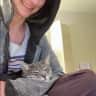 House sit pet parent - Kitten to adore, with a nice view!