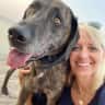 House sit pet parent - California Coastal Paradise