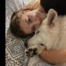 House sit pet parent - Chicago pet and house sitting in gorgeous downtown penthouse