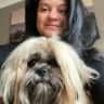 House sit pet parent - Sitter for a cute Lhasa Apso