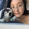 House sit pet parent - Sweet Rabbits in the Modern Studio Awaiting For a Loving Lady