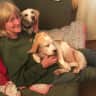 House sit pet parent - Two Loving Beagles in beautiful, rural, North West Devon.