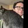 House sit pet parent - Gateway to the Bay!
