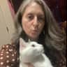 House sit pet parent - relax in a contemporary chalet in the woods of Vermont with two sweet cats!