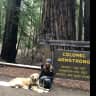 House sit pet parent - Cute house close to the beach with giant cuddly lap dog!!