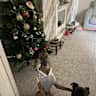 House sit pet parent - Come visit Northumberland with 2 beautiful dogs, my car is included