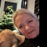 House sit pet parent - Izzy is a lovely dog - easy to look after.