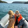 House sit pet parent - New Year week in a Cotswolds Farmhouse looking after 2 XL Golden Retrievers