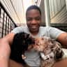 House sit pet parent - Well behaved loving pups. Nice clean apartment.