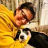 House sit pet parent - Adorable Border Collie short haired 10 month old needs a sitter