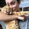 House sit pet parent - Exotic Fruit Farm in Hawaii with Puppies, Kitties and Chickies!