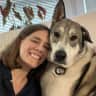 House sit pet parent - Holiday house and pup sit in a charming Victorian in a seaside city