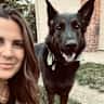 House sit pet parent - The Kent’s house in Mount Pleasant