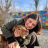 House sit pet parent - In the middle of the Country Side in Albania