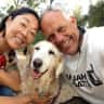 House sit pet parent - Seeking experienced pet-sitter on North Shore of Oahu, Hawaii