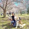 House sit pet parent - *25mins from NYC midtown* stay with two adorable Siberian huskies in a big house