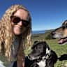 House sit pet parent - Beach house in Bonny Hills, Mid North Coast, NSW with two beautiful dogs.