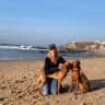 House sit pet parent - 2 Vizslas Living in a Cool Home near Cascais, Looking for an Active Sitter!