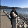 House sit pet parent - Havapoo and Cockatiel in beautiful Marin County, CA looking for Forever Friends