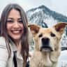 House sit pet parent - Lovely husky/lab in a modern flat with a garden by the lake Geneva and the Alps