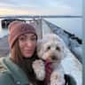 House sit pet parent - Christmas in Brixham, Devon - Cosy Apartment, Cavapoo companion & Coastal Walks