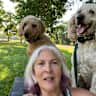 House sit pet parent - Mini farm with indoor dogs and indoor/outdoor cats.
