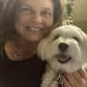 House sit pet parent - Lovely little inner city safe villa with very cute and fun dog!