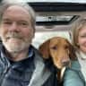 House sit pet parent - Sunny family home and good-natured energetic dog