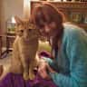 House sit pet parent - Cat sitter required for friendly and loving cat over Christmas and New Year