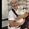 House sit pet parent - Angkor Wat Cambodia. 2 adorable cats.