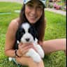 House sit pet parent - Come stay and play in the Vail Valley and Rocky Mountains of  Colorado!