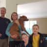 House sit pet parent - Stay surrounded by trees, close to the beach with a fun, active dog named Belle.