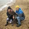 House sit pet parent - Stay with Orwell the GSP in Large Family home in Crouch End, North London